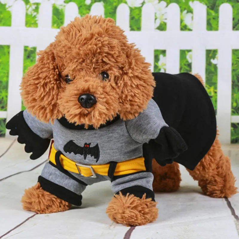 Новая повседневная одежда для домашних животных с рисунком Бэтмена ролевых игр