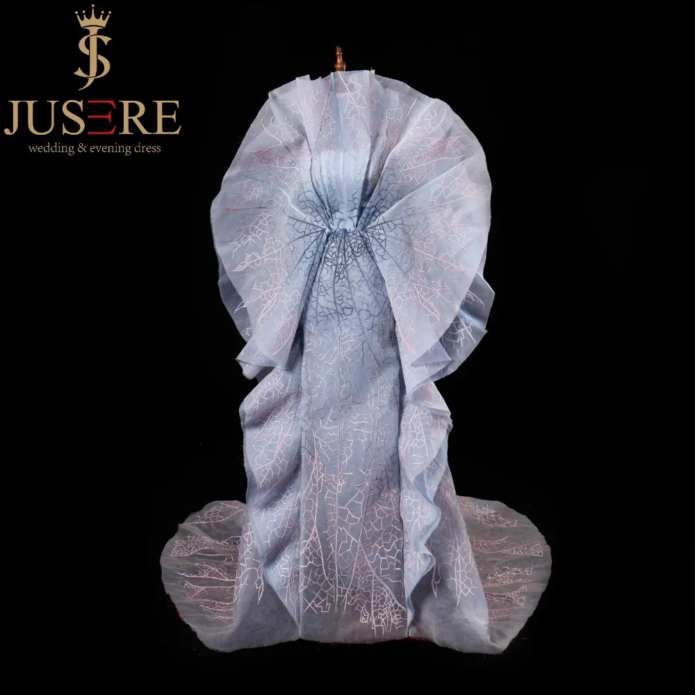 JUSERE 2019 SS модное шоу светло голубое длинное вечернее платье с вышивкой Иллюзия