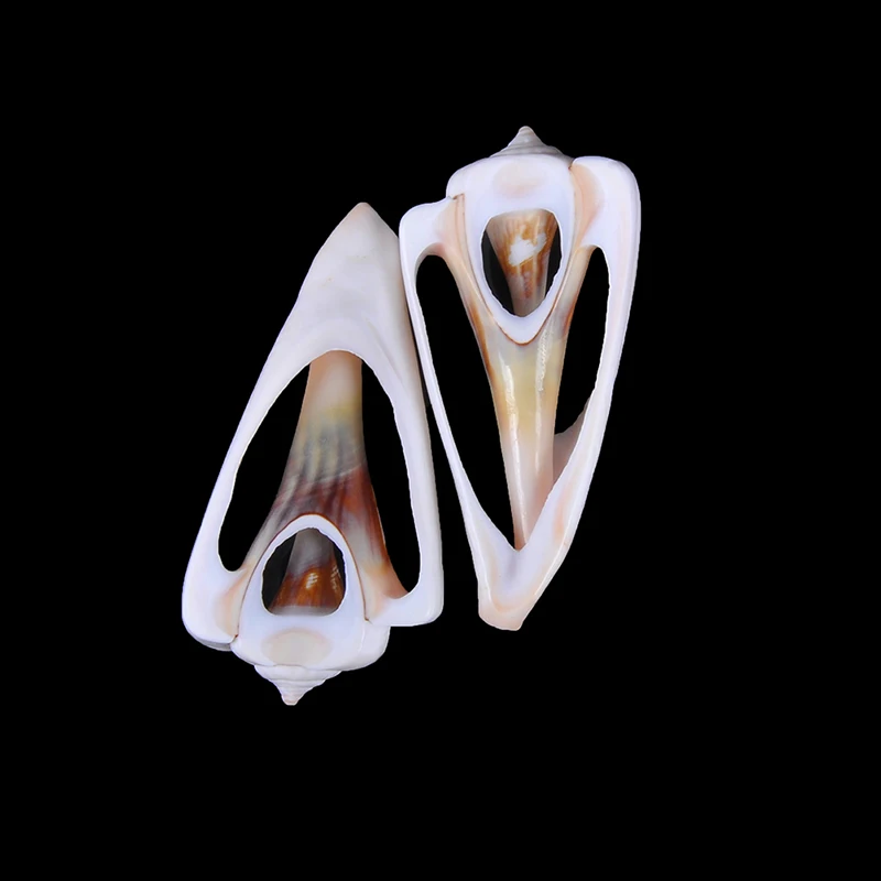 5 шт. ракушки 4 6 см Cowrie племенные ювелирные изделия Аксессуары для рукоделия