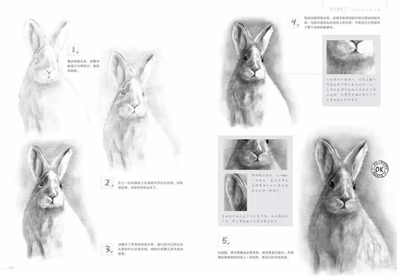 Карандашные наброски для начинающих учеников от Feiyueniao Studio китайская