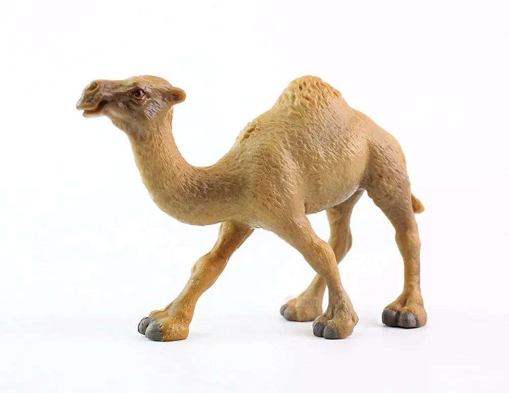 Wiben Camel сафари дикое сафари дикая природа дромедари Модель Коллекция для детей Детские игрушки Подарки на день рождения