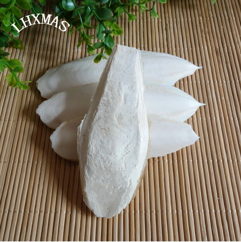 1 компл. Каракатицы Кости Для Пэт Волнистый Попугайчик Птицы Черепаха Питания