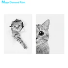 Картина с изображением кошки, черная и белая алмазная живопись, животное, круглая, полная Алмазная 5D мозаика для творчества, вышивка крестиком, домашний декор, подарок