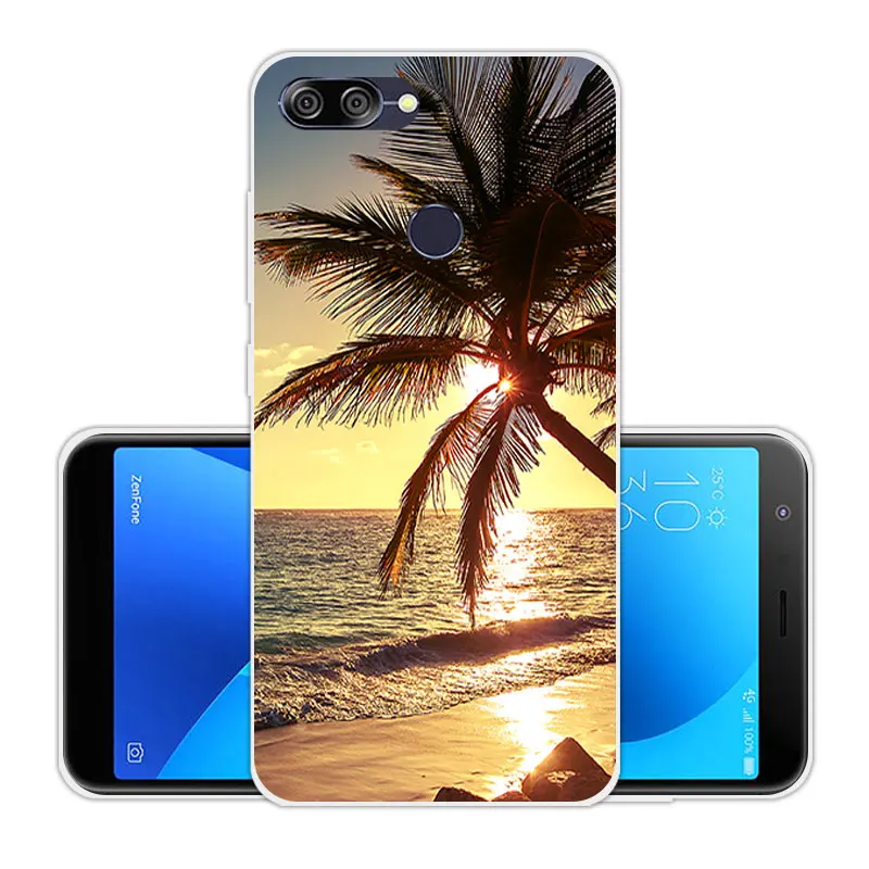 5.7 inch For Asus Zenfone Max Plus(M1) X018DC ZB570TL Soft Transparent Silicone DIY Skuli Back Cover Coque Pegasus 4S |