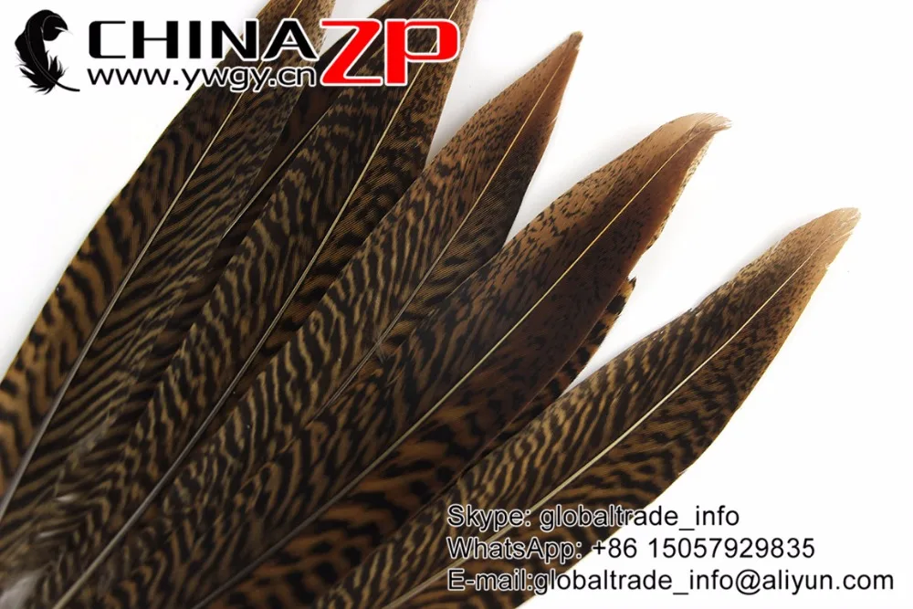 Перья CHINAZP 20 ~ 25 см (8 10 дюймов) короткий размер натуральный Золотой фазан