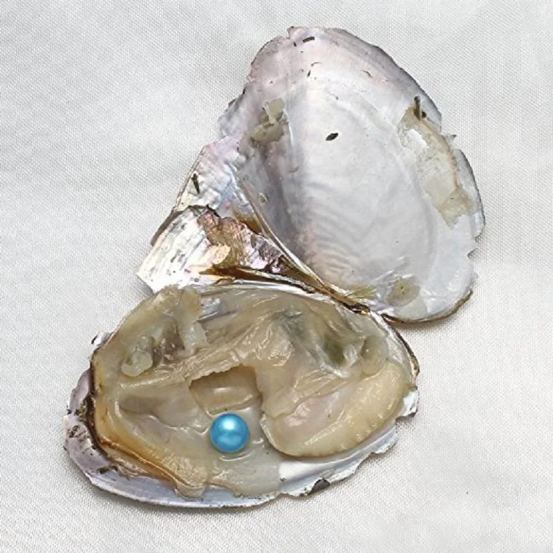 Круглый жемчуг Oyster 5 7 мм 2018 Новый смешанный цвет большой подарок для пресной воды