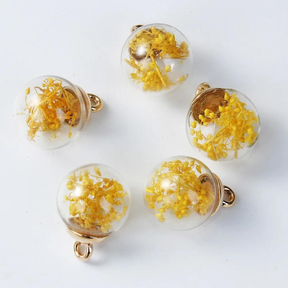 DoreenBeads DIY подвесные стеклянные бусы, амулеты, бутылки, цветные высушенные цветы, прозрачные 22 мм x 16 мм(7/" x 5/8")-21 мм x 16 мм, 5 шт
