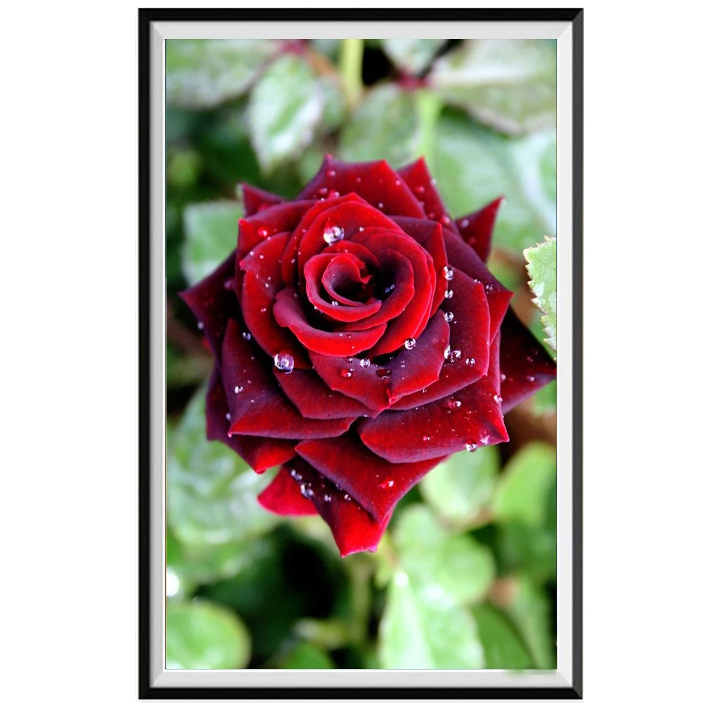 Цветочная Алмазная картина полная дрель цветок розы алмазная вышивка крестиком