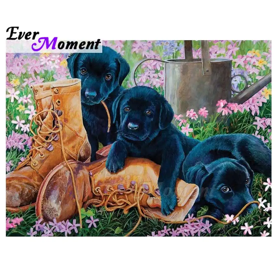 Алмазная живопись на всю площадь с изображением собаки обуви алмазная вышивка