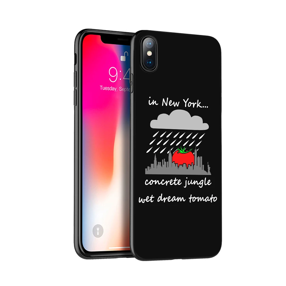 Черный чехол из ТПУ для iphone 5 5s se 6 6s 7 8 plus x 10 силиконовый XR XS 11 pro MAX Алисия ключи