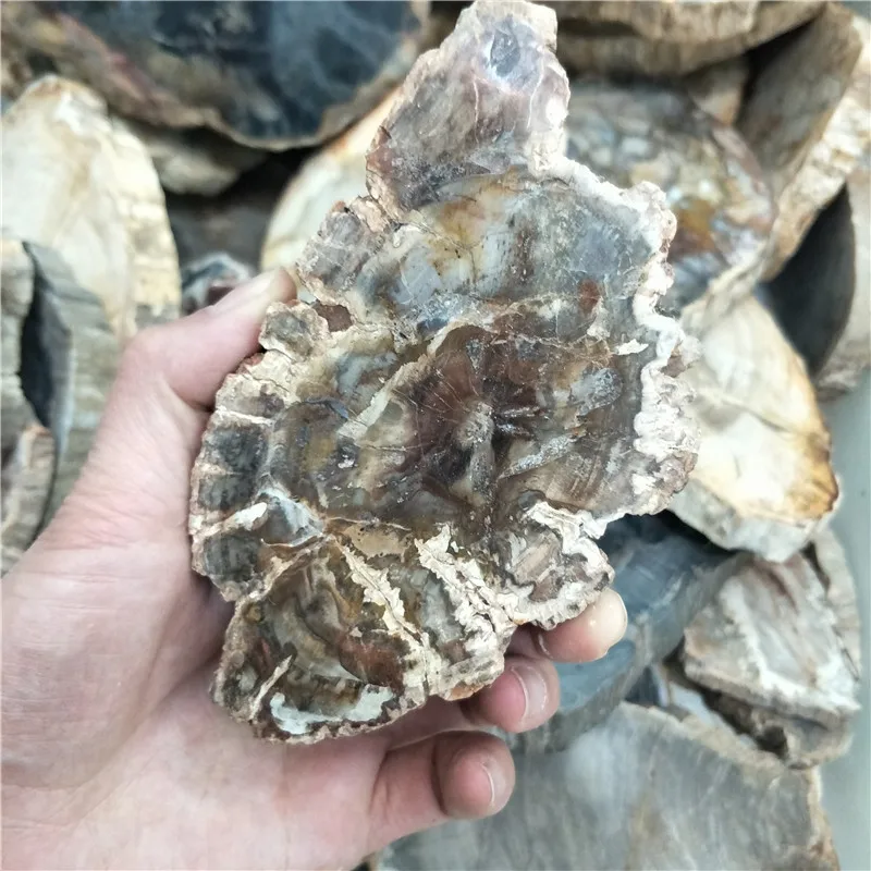 Натуральный камень и хрустальный каменный fossil tree для coaster украшения дома|Камни| |