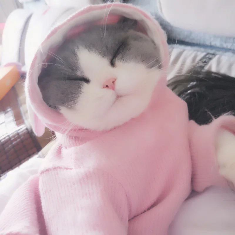 Милая кошка Детский костюм, зимняя теплая одежда для кошек, рисунок с кошечками милый вязаный свитер с капюшоном с ушками кролика и Китти накидка, чехол для собак Костюмы