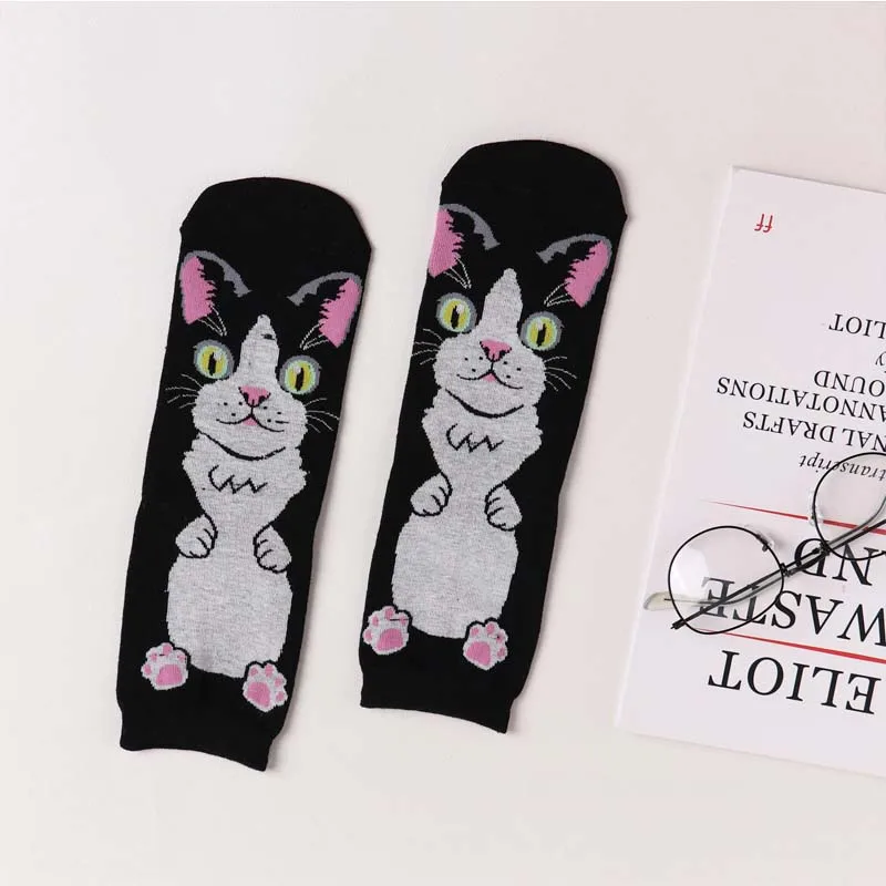 Весенние носки милые из хлопка с рисунком кота для студентов в стиле Харадзюку -