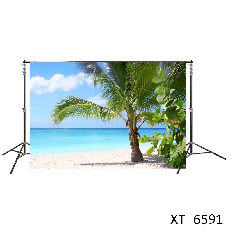 Фон для фотографий море пляж тропический морской берег Кокосовая пальма остров