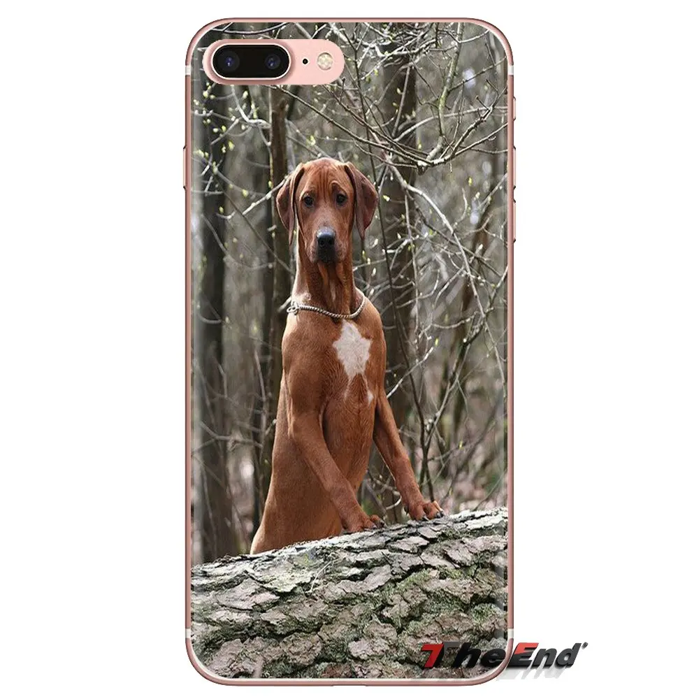 Прозрачные мягкие чехлы для iPod Touch Apple iPhone 4 4S 5 5S SE 5C 6 6S 7 8 X XR XS Plus MAX Rhodesian Ridgeback Dog |