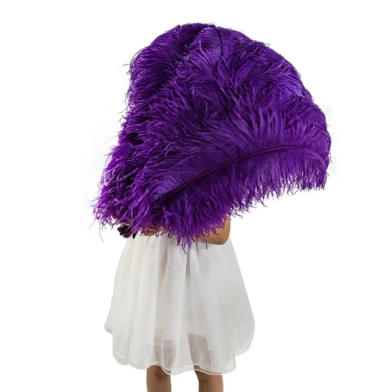Азия РА 2 шт./лот фиолетовое пушистое страусиное перо шлейфы 65 70 см DIY свадебное