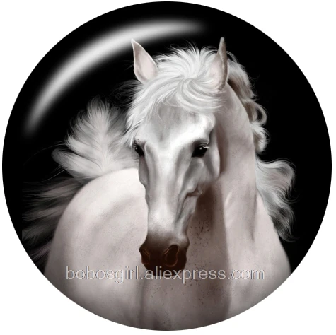 horse glass snap button for snaps jewelry Round photo cabochons DA1072 - Окраска металла: A4685