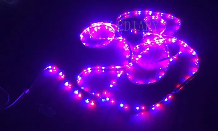 Светодиодный Светодиодный сгибательный RGB ленточный светильник ing 300 светодиодный 5 м 3528 12 В IP20 не водонепроницаемый Рождественский светильник