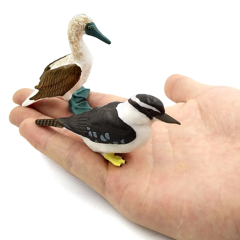 Моделирование леса Kookaburra Gannet фигурки миниатюрные животные модель птицы