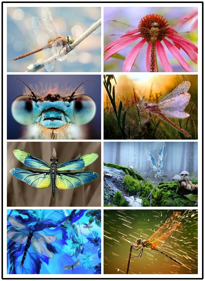 

LIPHISFUN Алмазная картина, вышивка крестом ручной работы, квадрат/круг, DIY стрекоза, милое животное