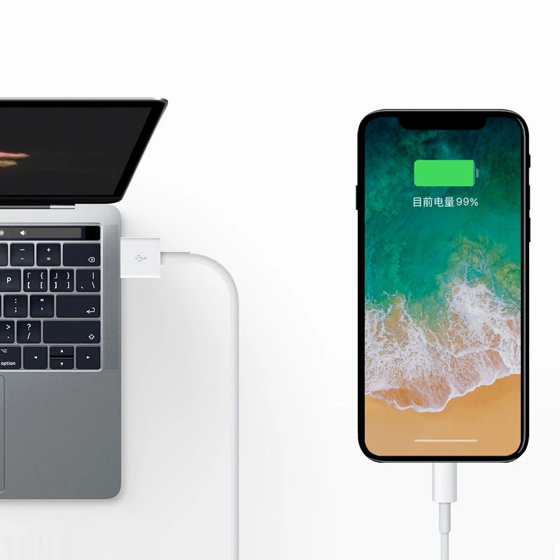 DATALAND USB кабель системы освещения iPhone XS MAX X XR 8 7 6 6S Plus зарядный для зарядное