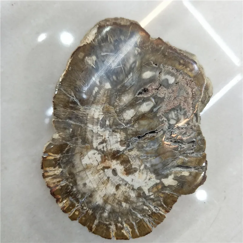 Натуральный камень и хрустальный каменный fossil tree для coaster украшения дома|Камни| |