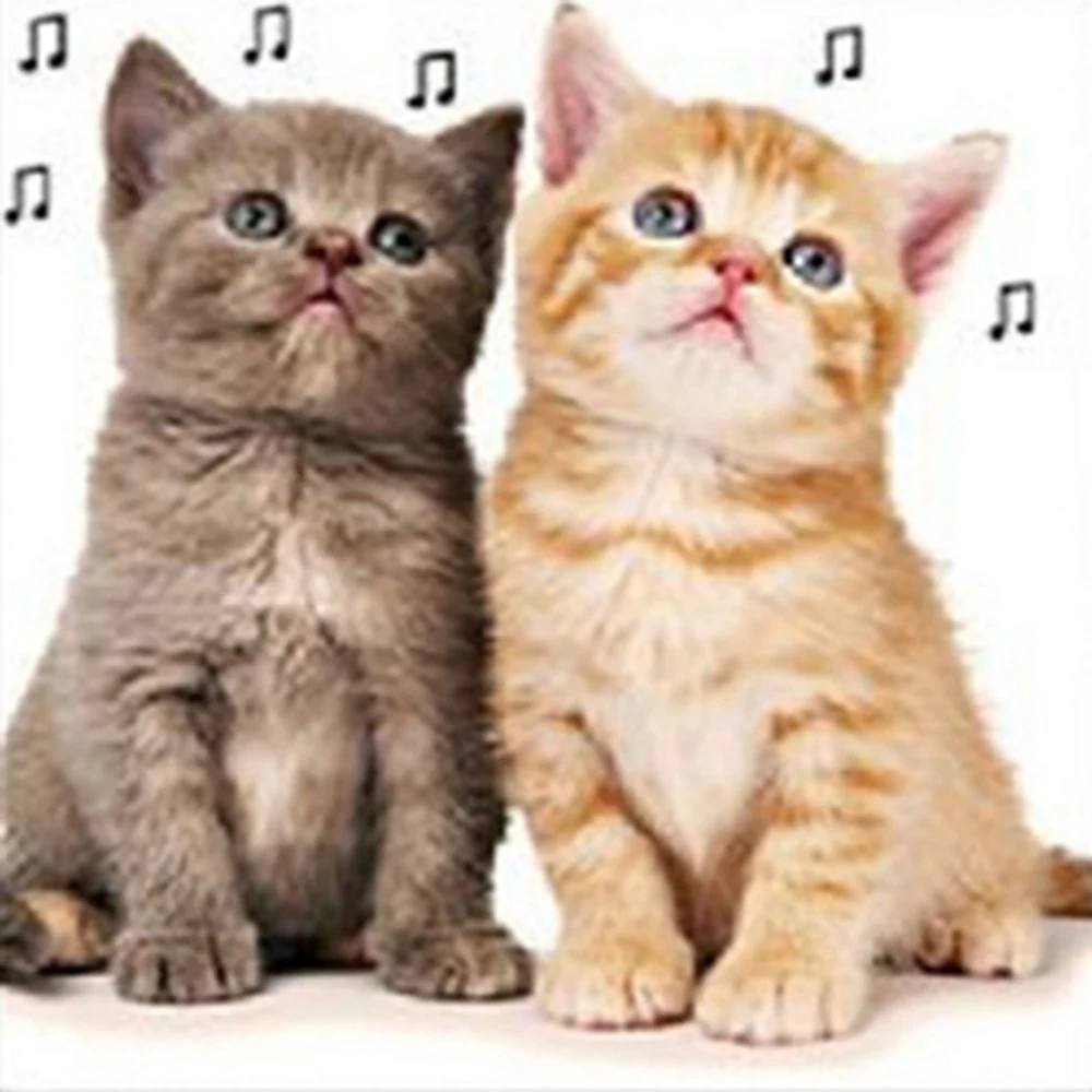 Diamond Painting Cats listening to music full drill Mosaic DIY Cross Stitch Embroidery Home Decorative Craft | Дом и сад
