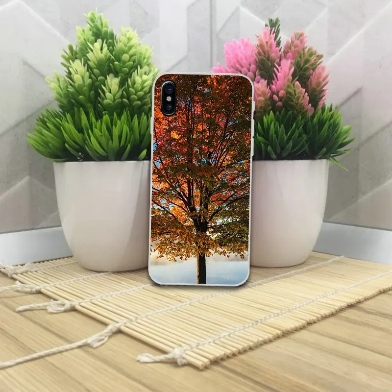 Чехлы для iPhone 8 7 6 6S Plus X XR XS Max 5 | Мобильные телефоны и аксессуары