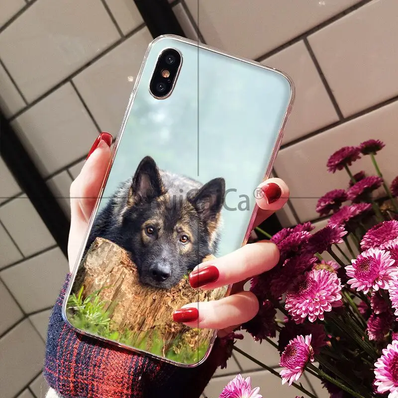 Мягкий чехол для мобильного телефона Ruicaica с рисунком немецкой овчарки Apple iPhone 8 7 6