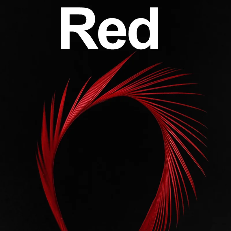 12pcs red 12 шт. гусиный биос перо Beadhead Prince Nymph Tail крыло чехол Камень мухобойка Материал Черный Белый Коричневый Красный зеленый красный синий - Цвет: 12pcs red