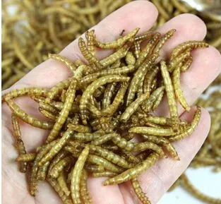 Сушеные Mealworms для аквариумных рыб корма рептилия, черепаха-Хомяк дикая птица корм для домашних животных
