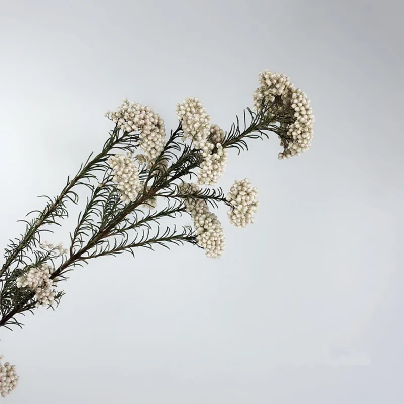 2 шт. сушеные рисовые цветы для домашнего искусства окна DIY украшения сохраненные свежие цветы