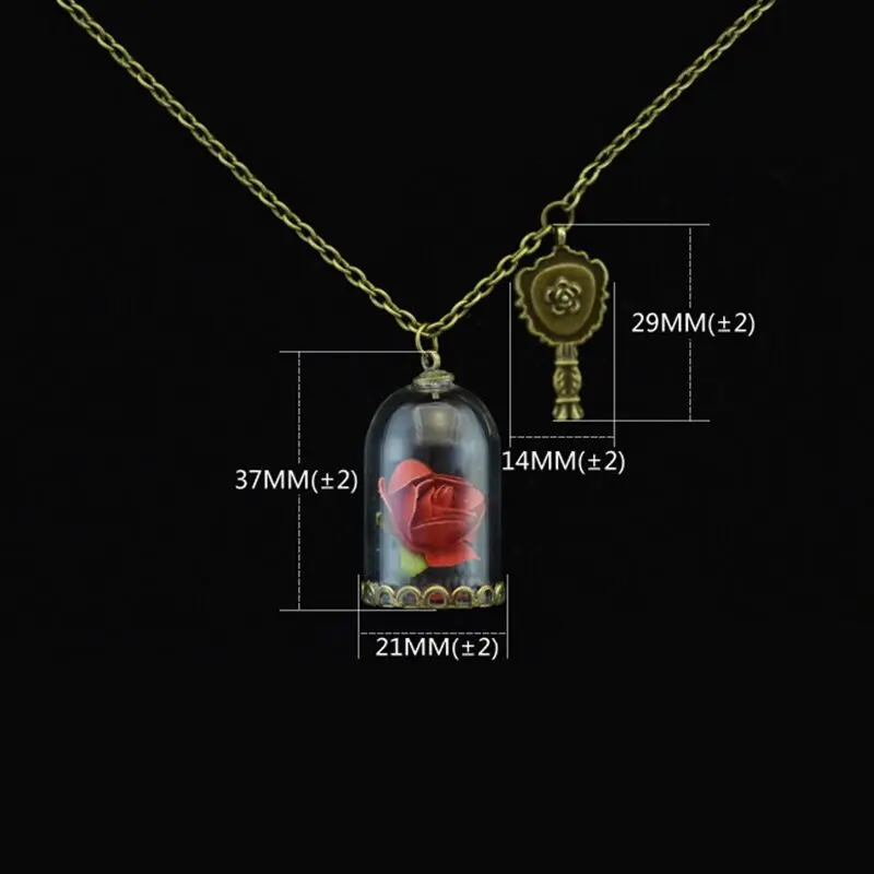 Стеклянный Пузырек Ожерелье Маленький Принц Роуз Ретро Кристалл Природные Сухие