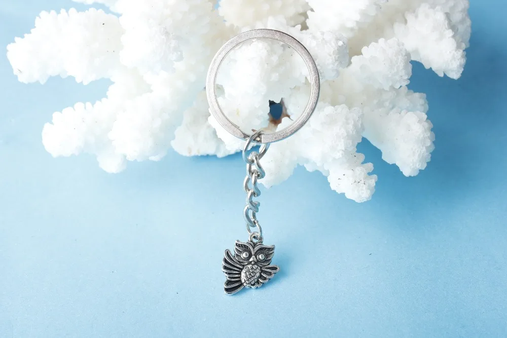 10 штук оптовая продажа лучшего подарка ювелирных изделий - Гарри Поттер милый серебряный сова подвеска брелок модные ювелирные изделия на.