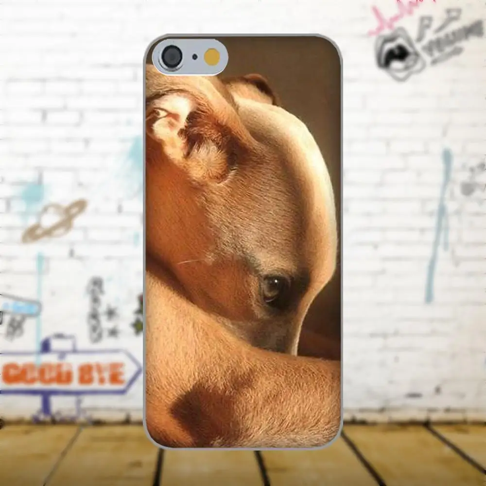 Oedmeb Galgo Greyhound Dog для Apple iPhone X 4 4S 5 5C 5S SE 6 6S 7 8 Plus LG G3 G4 G5 G6 K4 K7 K8 K10 V10 V20|Бамперы| |