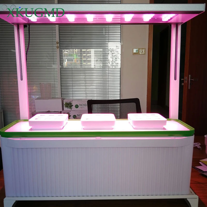 구매 XKUGMD-피토 램프, 풀 스펙트럼 LED, 240V, 클립 포함, 온실, 수경, 야채, 꽃