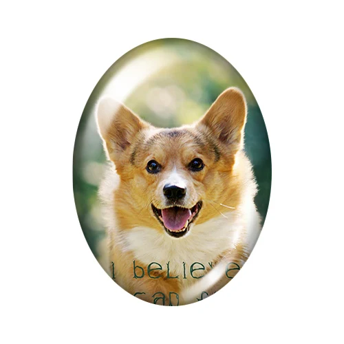 Прекрасный собаки любят домашних животных 10 шт смешанные цвета 13x1 8 мм/18x2 5 мм/30x40