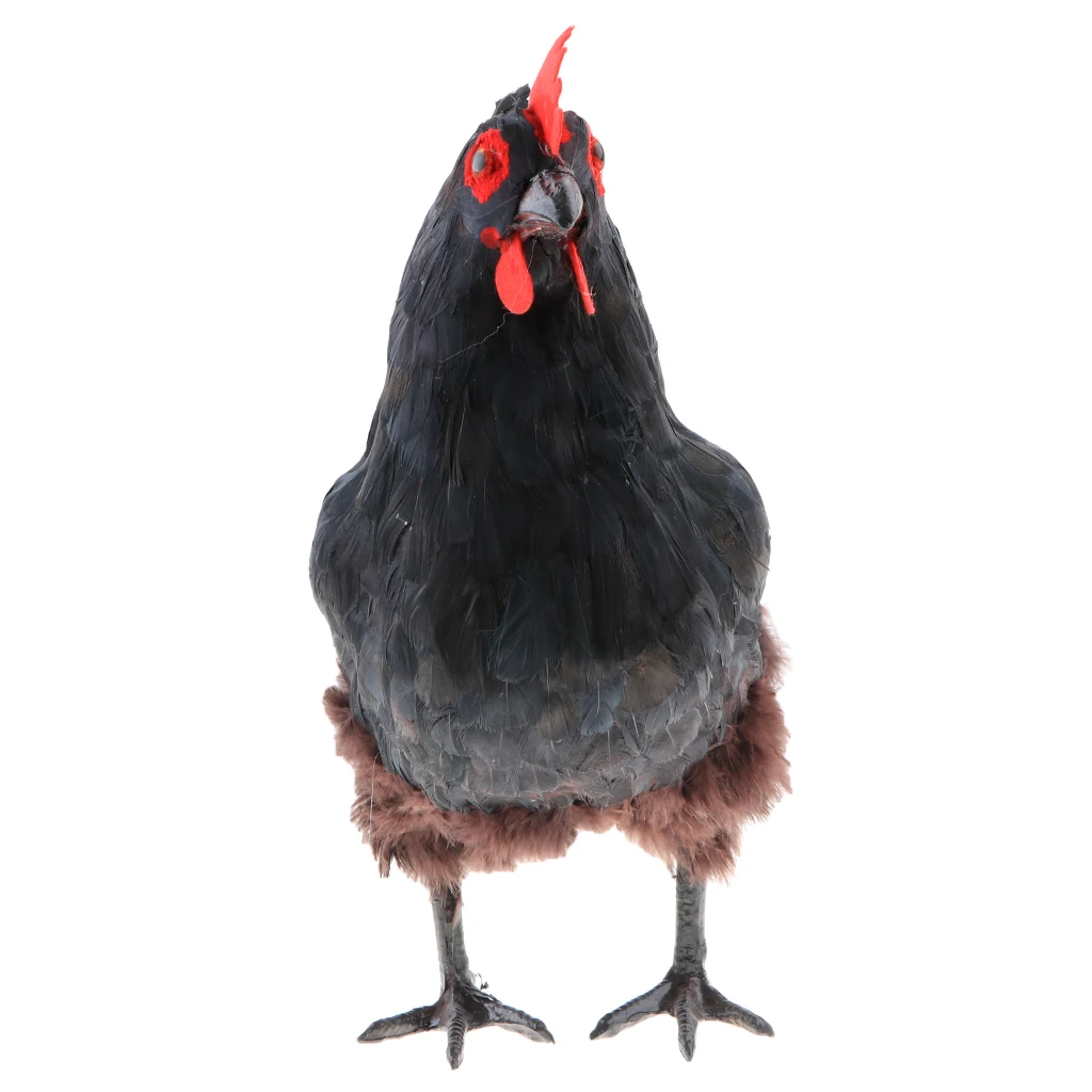 Реалистичные большой Rooster моделирование реалистичные фермы животных фото