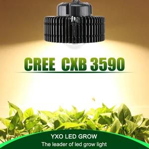 Светодиодная лампа полного спектра CREE CXB3590 для теплиц и гидропонных систем, комнатный тент для выращивания растений, коммерческий медицинский тент для роста растений, 100 Вт, COB