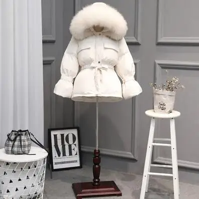 white coat white fur Воротник из натурального меха енота, новинка, зимнее пальто для женщин, длинный пуховик, Толстая теплая пуховая куртка, белое пуховое пальто размера плюс, верхняя одежда - Цвет: white coat white fur
