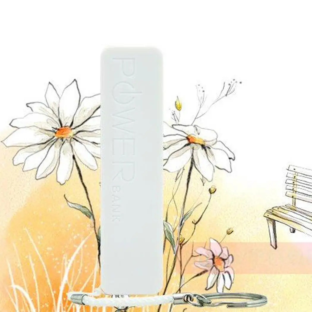 Мини Портативный power Bank чехол цветной один порт USB с ремешком power Bank чехол для мобильного телефона зарядное устройство DIY оболочка для iPhone Xiaomi