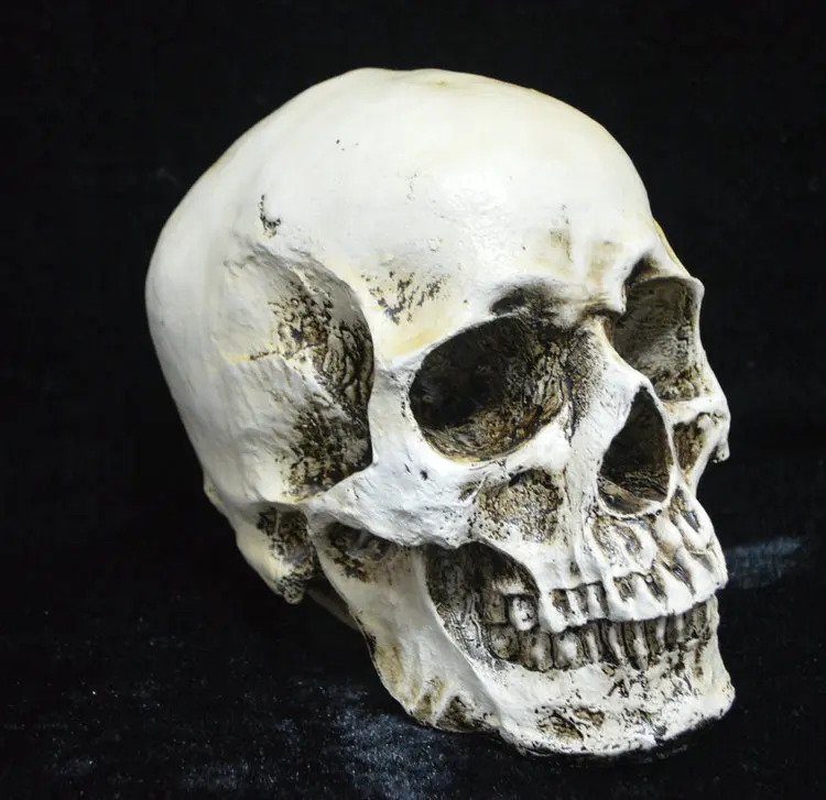 Смола Хэллоуин скелет череп Череп кости ужас реквизит украшения для праздника