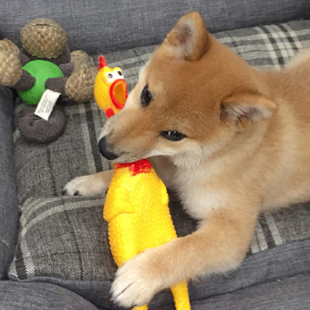 33 см/17 см кричащий цыпленок пищалка игрушка Смешные пасхальное домашних животных