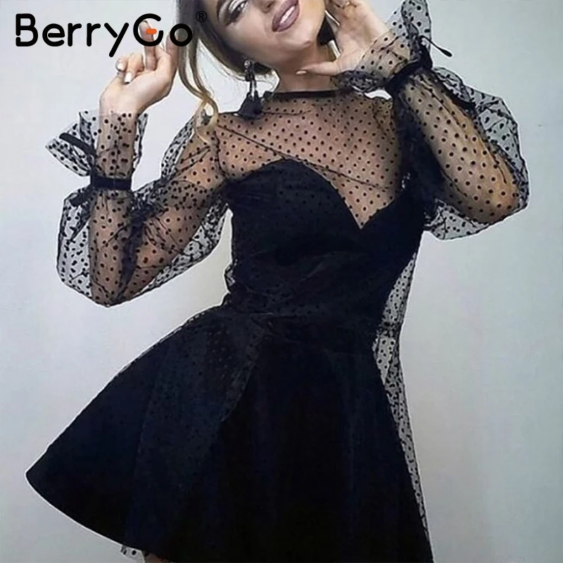 BerryGo летние вечерние пикантные прозрачные Сетчатое платье Для женщин