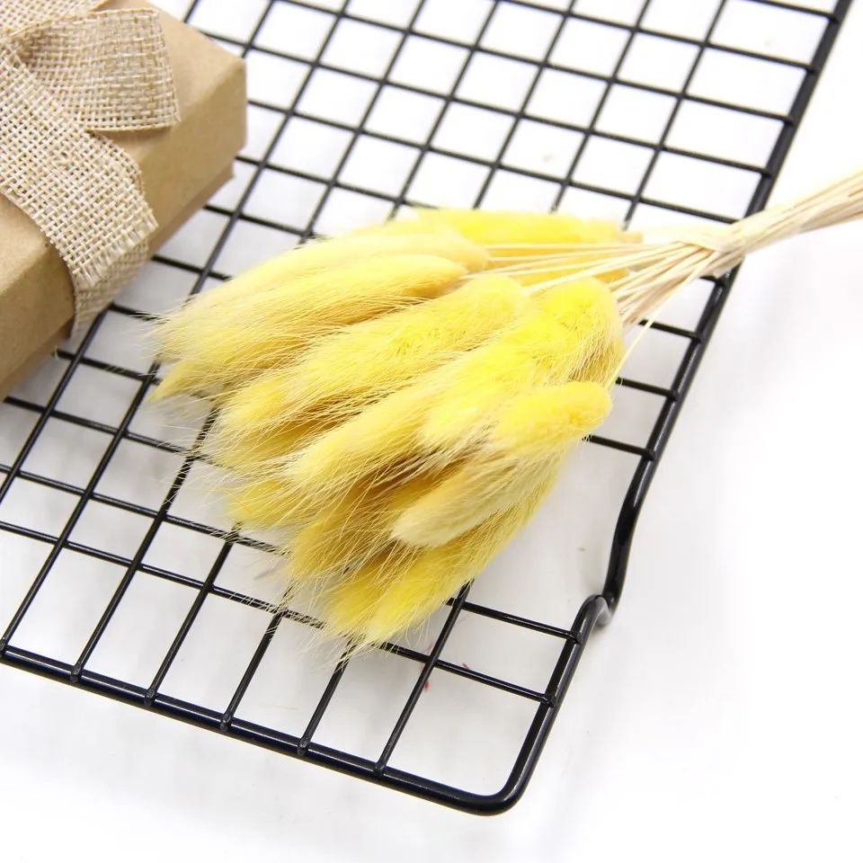 Yellow 25 шт., свадебные, сделай сам, натуральные, сушеные цветы, искусственные букеты laguurus Ovatus& Uraria Picta DIY, кроличий хвост, трава, букеты - Цвет: Yellow