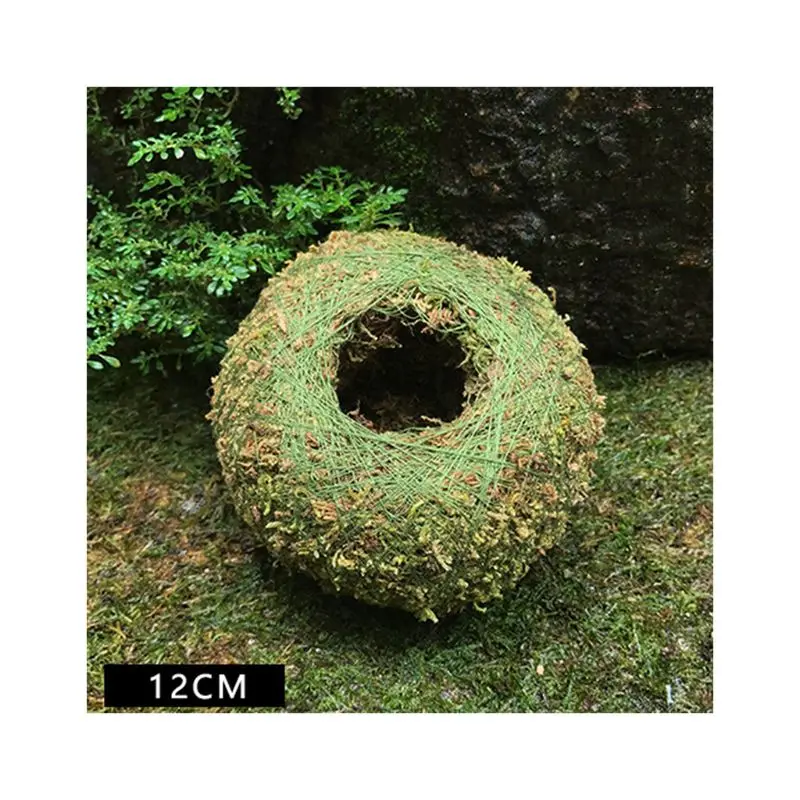 Горшок с мячом мох птичье гнездо цветочное растение домашний офисный стол
