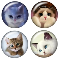 new lovely cats 1lot10pcs 12mm16mm18mm25mm round photo glass cabochon demo flat back making findings zb0471