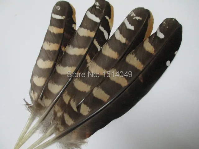 

Free shipping wholesale 50pcs high quality natural Wild pheasant feathers 12-18cm / 5-7inch variety of decorative and collect