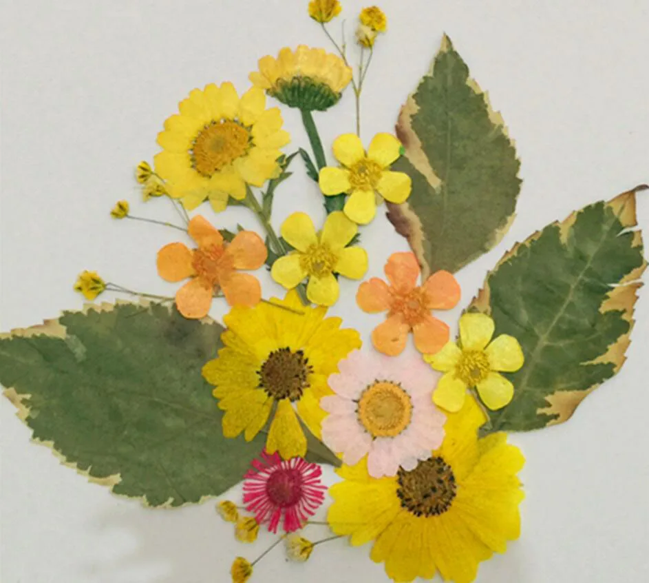 Желтые сушеные прессованные цветы + искусственные листья для изготовления