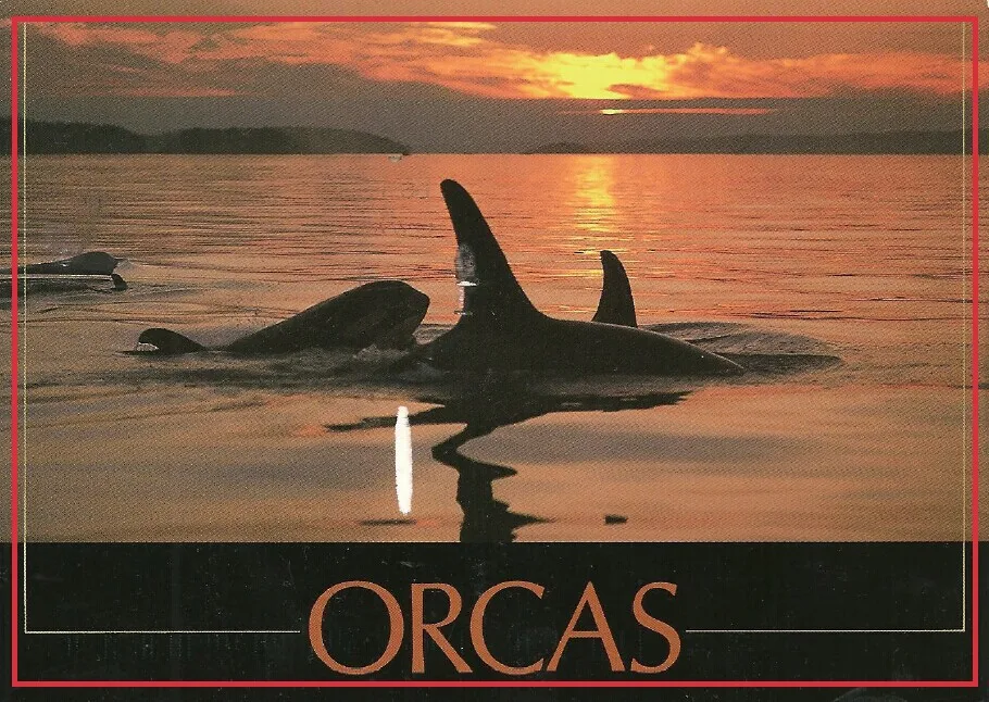 Деревенский сувенир в металлической обертке магниты на холодильник 20332 жесткая